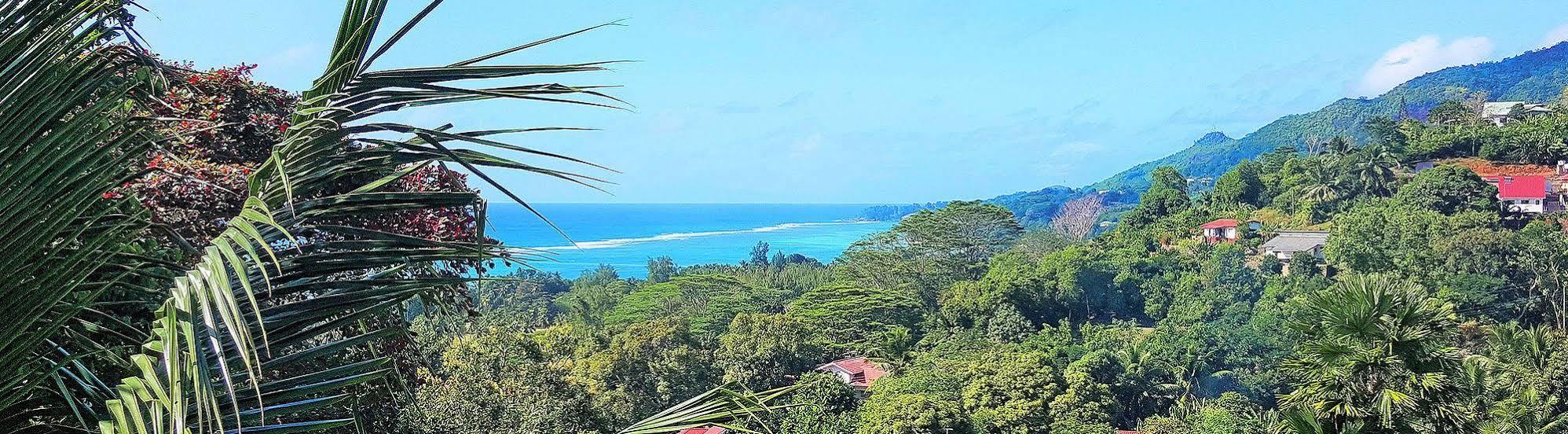 Lime Hill Lodge Anse aux Pins Exterior foto